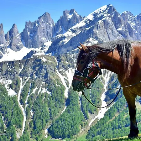 Mansarda Caviola Falcade