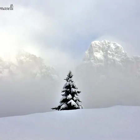 Mansarda Caviola Lägenhet Falcade