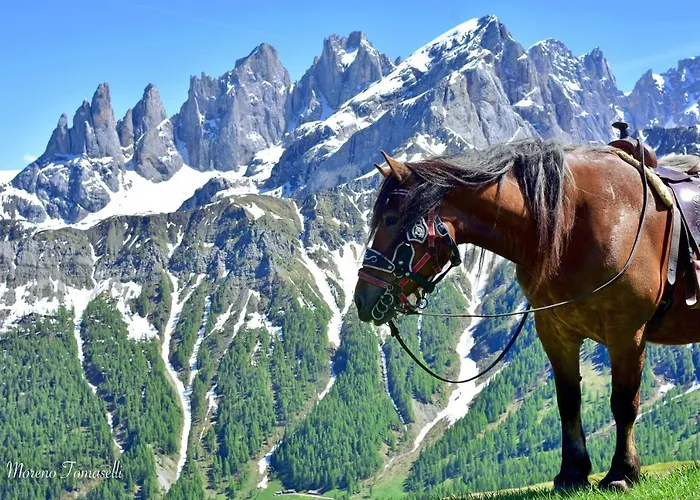 Mansarda Caviola Falcade