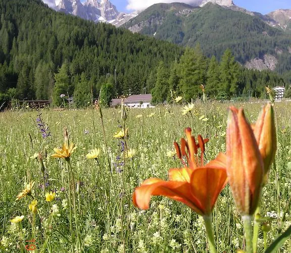 Mansarda Caviola Falcade